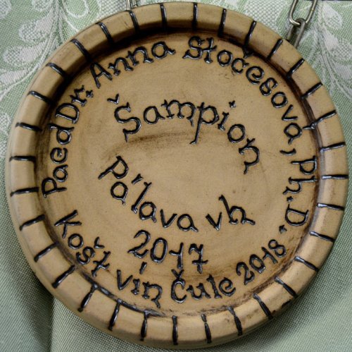 KVALITNÍ VÍNO za 170